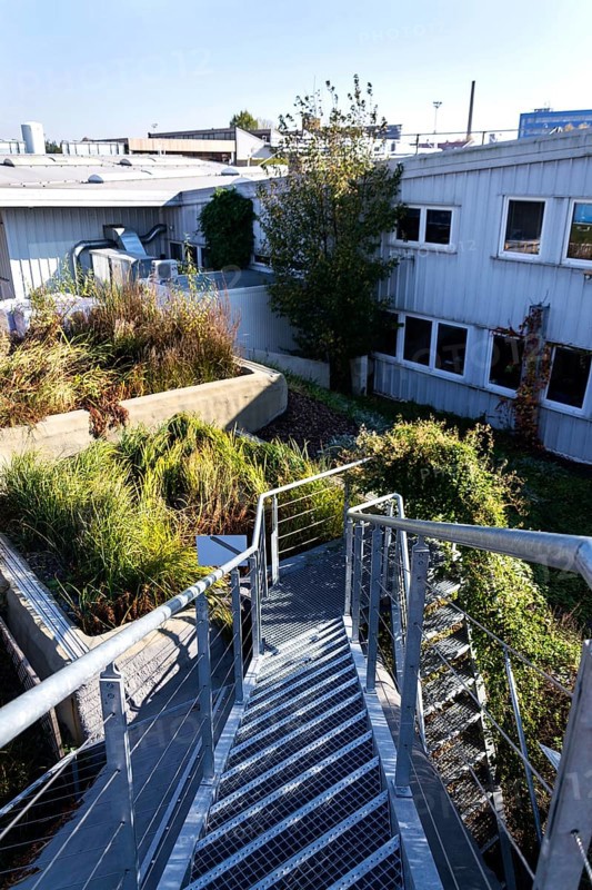 Green roof with root zone waste water treatment, exterior facade on modern building cooling with plants air conditioning Slavkov Czech republic