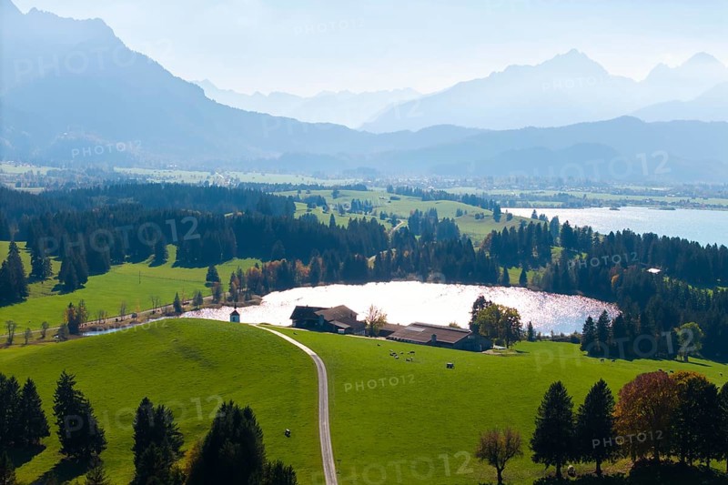 Panorama with green hills, Hegratsrieder See, wooded areas and mountains in the background, farm, near Füssen, Allgäu, Swabia, Bavaria, Germany