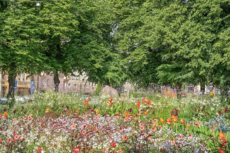 Flower bed, Karhupuisto Park, Kallio, Helsinki, Finland
