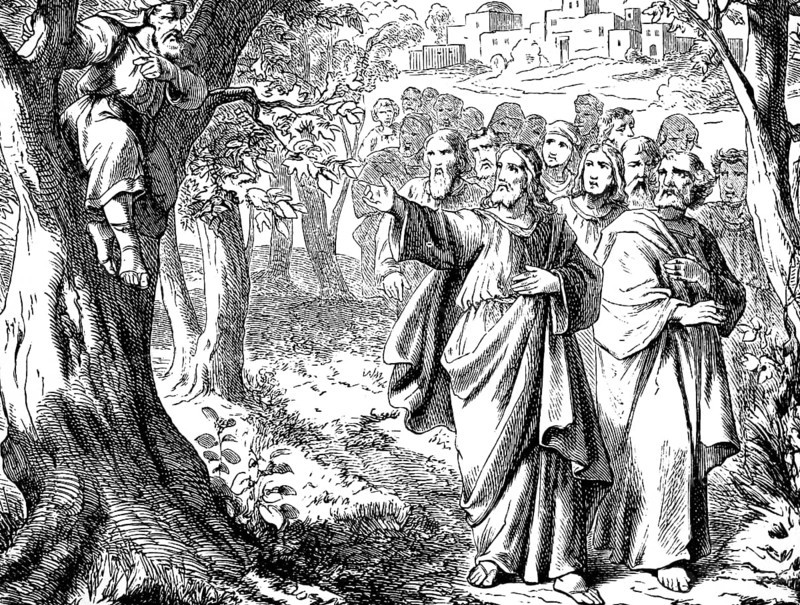 Jesus and the tax collector Zacchaeus on the mulberry tree, Jericho, Gospel of Luke, chapter 19, sinner, kingdom of God, goods, deceit, blessed, New Testament, Bible, historical illustration 1877