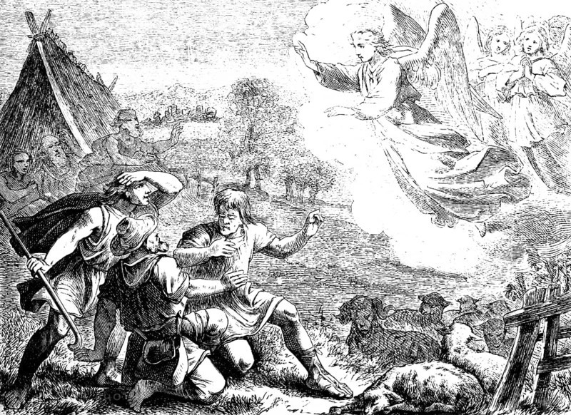 Do not be afraid, I proclaim great joy to you, Gospel of Luke, chapter 2, God's angel, birth of Jesus, shepherd, sheep, landscape, hut, New Testament, Bible, historical illustration 1877