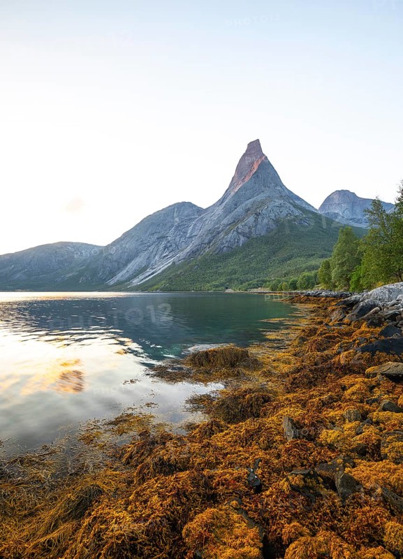 Stetind is illuminated by the first rays of sunshine. Morning light with seaweed on the banks of Tysfjord