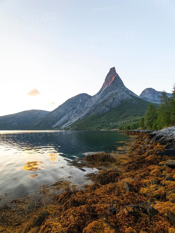 Fascinating view of Stetind in the morning light with seaweed on the shore