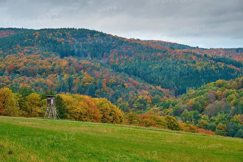 Autumn landscape with hunting pulpit, colorful forests and hills under cloudy sky, autumn, Spessart, Bavaria, Germany