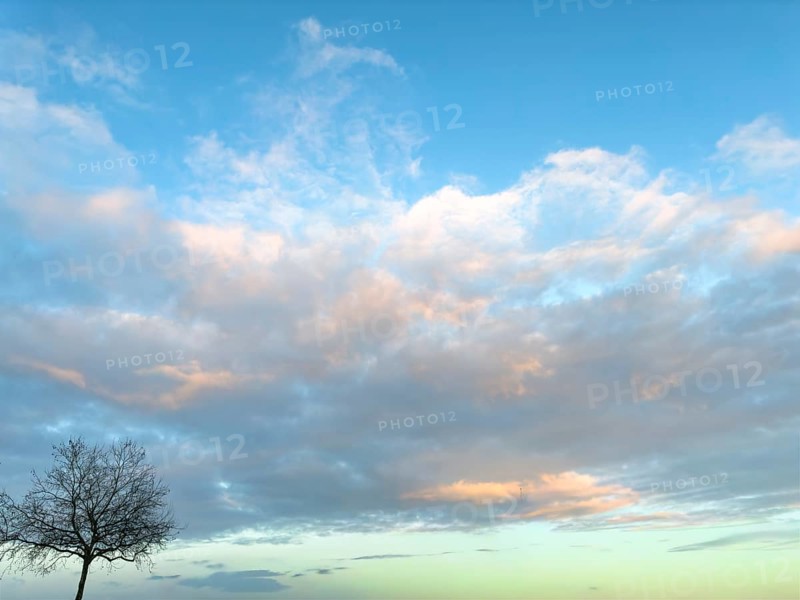 Medium-height layer clouds illuminated by sun later in the afternoon Clouds Altostratus Altostratus clouds in late autumn, lower left tree without leaves leaves leaves, international