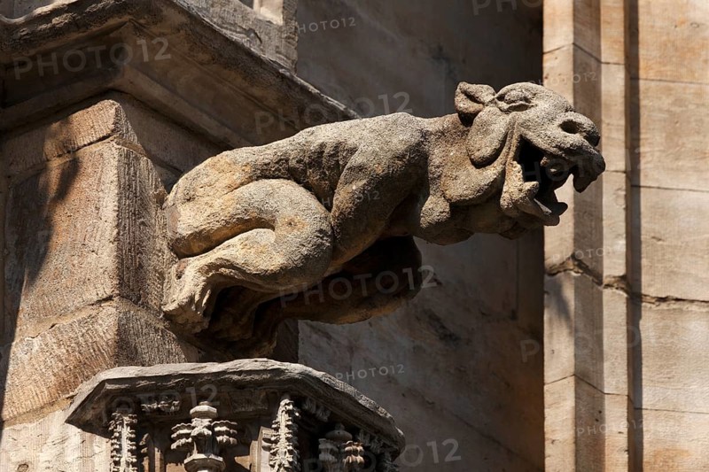 Gargoyles at City Hall on Grand Place, Brussels, Belgium