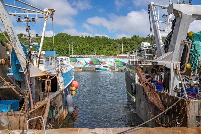 Two large, rusty fishing boats in the Port du Legue harbour at the mouth of the Legue. In the background, a quay wall with colorful murals with marine animals such as stylized fish and sailboats. Green wooded slopes rise above it under a blue sky with white clouds., Saint-Brieuc, Cotes-d'Armor department, Brittany region
