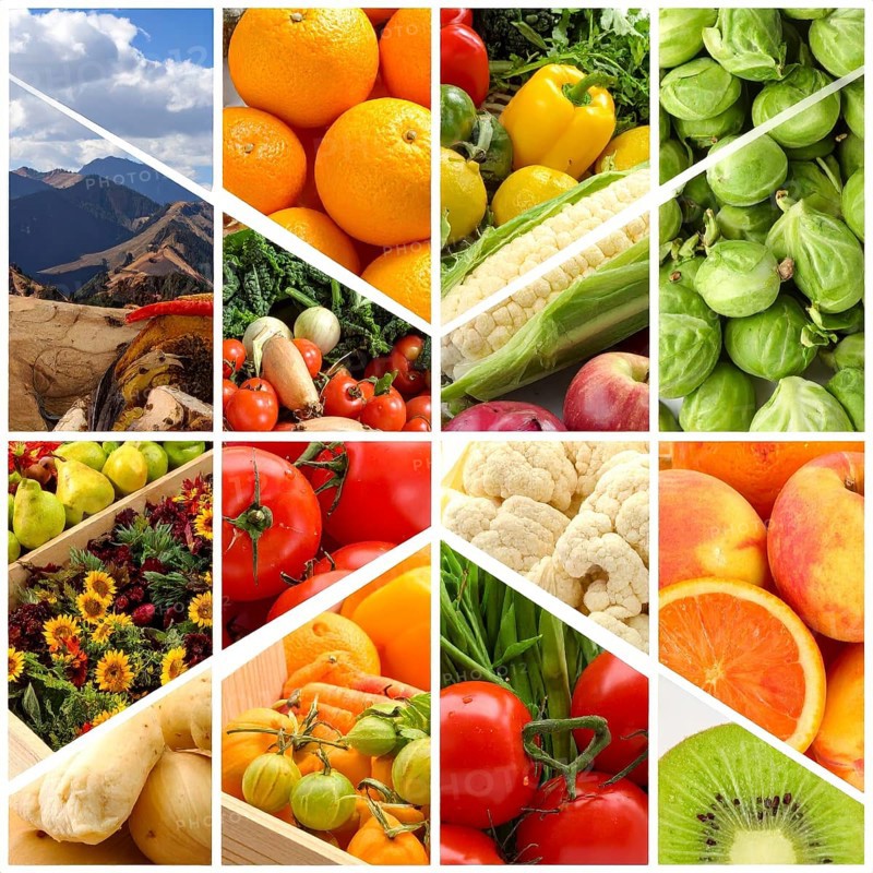 Food collage of various biological and organic fruits and vegetables, fresh healthy lifestyle, with a variety of vitamins, citrus fruits, green and red organic vegetables, kiwi, bananas, apple, avocados, tomatoes and green salad, symbolic background illustration for banner, template or wallpaper, AI generated