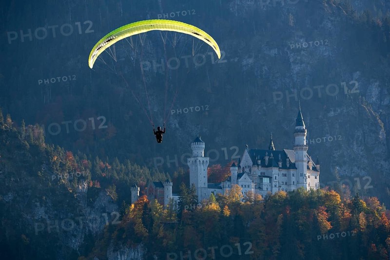 Paraglider flies in front of Neuschwanstein Castle in autumn forest scenery, Schwangau, Ostallgäu, Allgäu, Swabia, Bavaria, Germany