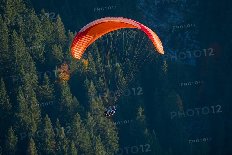 A paraglider flies over a thick, dark forest, Schwangau, Ostallgäu, Allgäu, Swabia, Bavaria, Germany