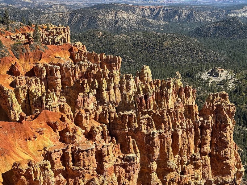 Close-up of textured red rock walls and sweeping views across green valleys, Bryce Canyon National Park is located in southwestern Utah in the United States, Majestic rock needles and red rocks in the canyon with views of forested mountains in the distance, Tropic, Utah, USA