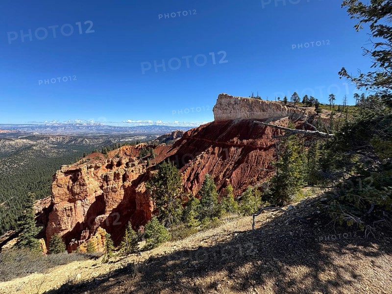 Majestic view of a canyon with red rocks and trees under clear skies, Bryce Canyon National Park is located in southwestern Utah in the United States, wide view of the canyon with red cliffs and adjacent forest under bright skies, Tropic, Utah, USA