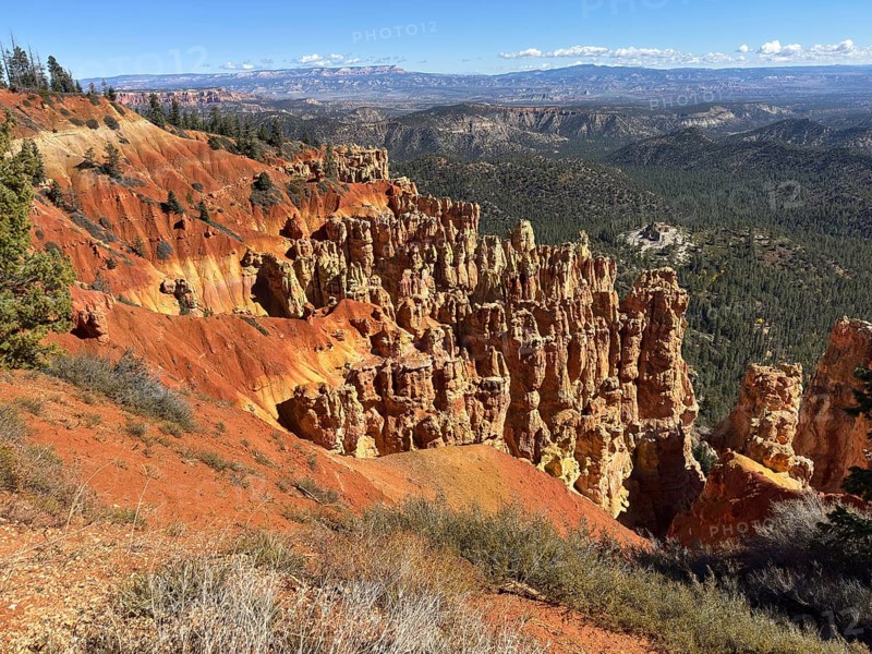 Majestic red rock formations stretch across the valley with breathtaking views, Bryce Canyon National Park is located in southwestern Utah in the United States, Breathtaking rock formations and red soil in the canyon under blue skies with vegetation in the foreground, Tropic, Utah, USA