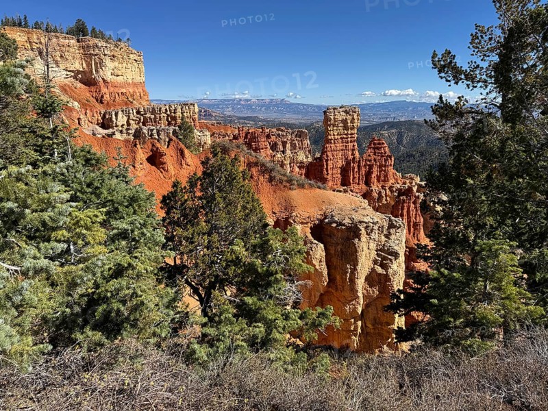 Snowy conifers and impressive red cliffs under a clear blue sky, Bryce Canyon National Park is located in southwestern Utah in the United States, Rocky mountainous landscape with green forests and clear blue skies, Tropic, Utah, USA