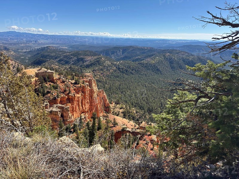 Panoramic view of a mountain landscape with characteristic red rocks and thick vegetation, Bryce Canyon National Park is located in southwestern Utah in the United States, panorama of steep rocks and extensive forests under a blue sky, Tropic, Utah, USA