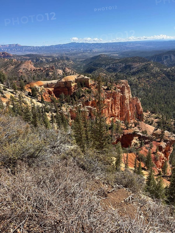 Expansive view of rocky desert landscape with forests and impressive orange sandstone rock formations, Bryce Canyon National Park is located in southwestern Utah in the United States, Red rock formations and thick forests against an expansive mountain backdrop, Tropic, Utah, USA