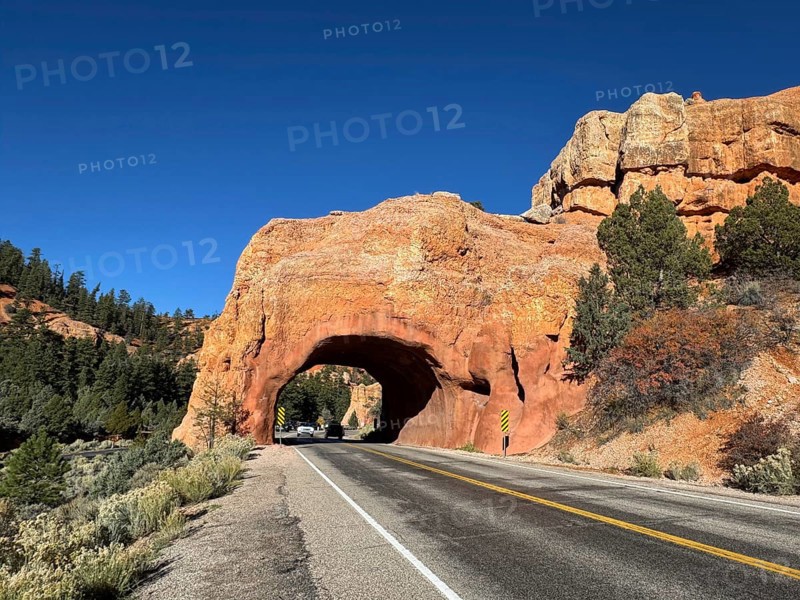 Red sandstone rock arch with a road leading through, in a vast desert landscape, Bryce Canyon National Park is located in southwestern Utah in the United States, An impressive rock arch along a road in a red rocky landscape with clear skies and surrounding trees, Tropic, Utah, USA