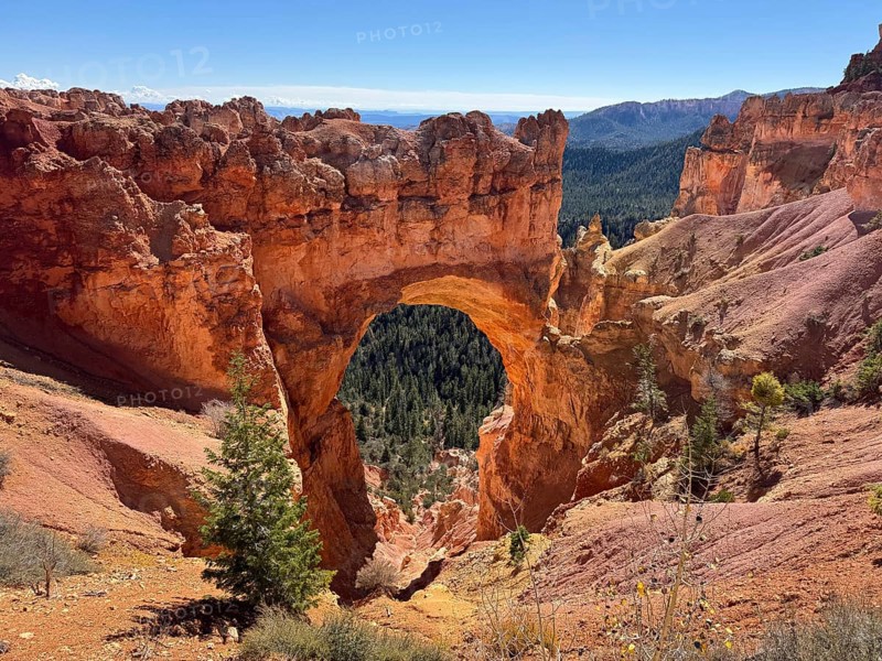 Fascinating red rock arch with surrounding pine trees in the daylight of a canyon, Bryce Canyon National Park is located in southwestern Utah in the United States, natural wonder with a massive rock arch and panoramic views, Tropic, Utah, USA