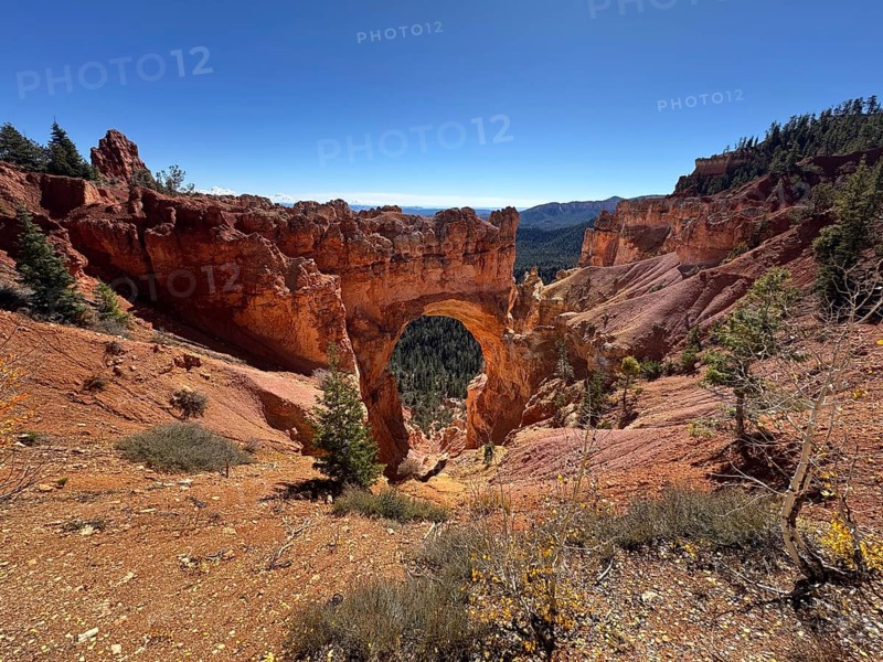 Expansive view of a rocky arch surrounded by clear, deep blue sky, Bryce Canyon National Park is located in southwestern Utah in the United States, Impressive rock arch in the middle of a red rocky landscape under clear skies, Tropic, Utah, USA
