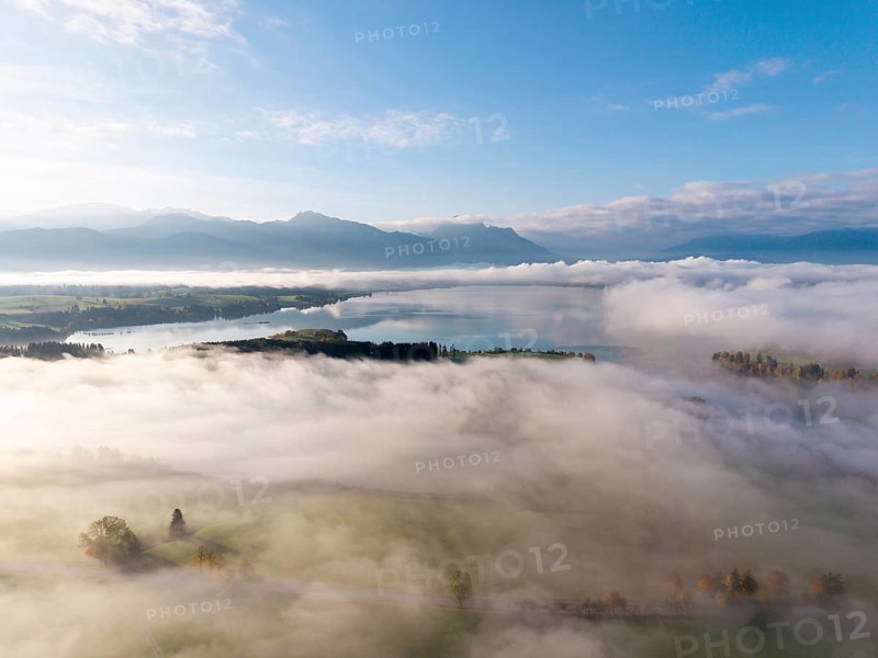 Wide view with fog over Lake Forggensee and rolling hills, near Roßhaupten, Ostallgäu, Allgäu, Swabia, Bavaria, Germany