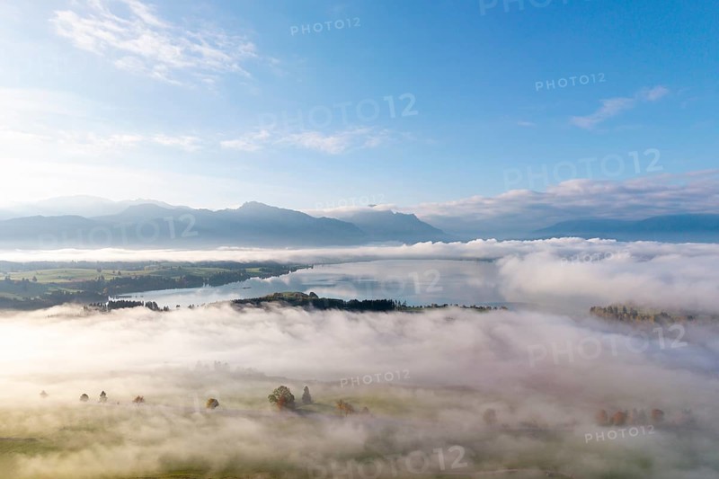 Morning atmosphere with clouds of fog over a pasture landscape and Forggensee near Roßhaupten, Ostallgäu, Allgäu, Swabia, Bavaria, Germany