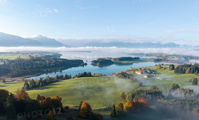 Wide landscape with Forggensee and mountains in the background, fog creates a quiet atmosphere, near Roßhaupten, Ostallgäu, Allgäu, Swabia, Bavaria, Germany