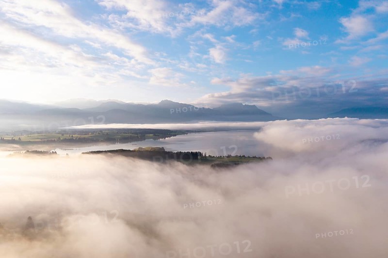 Morning fog hovers over Lake Forggensee with mountains in the background, near Rosshaupten, Ostallgäu, Allgäu, Swabia, Bavaria, Germany