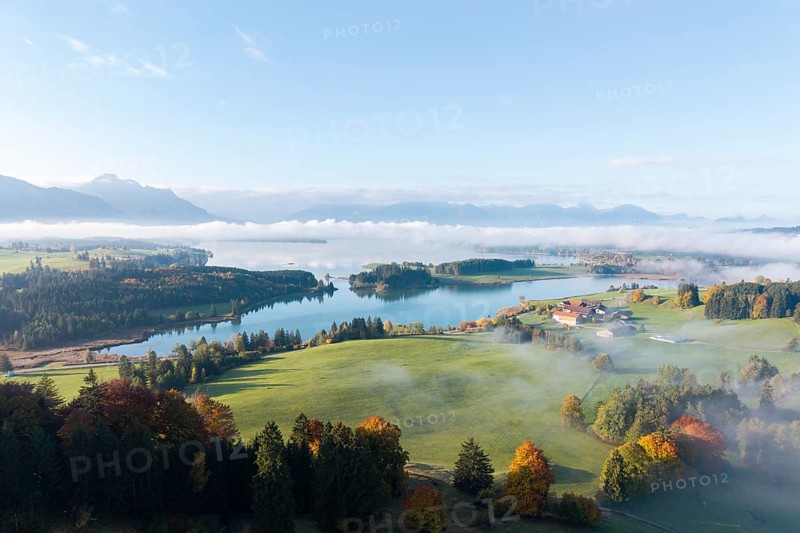 A vast landscape with the Forggenssee, surrounded by autumnal forests, near Roßhaupten, Ostallgäu, Allgäu, Swabia, Bavaria, Germany