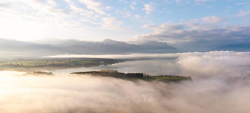 Foggy landscape with view of Lake Forggensee and mountain skyline in the background, near Rosshaupten, Ostallgäu, Allgäu, Swabia, Bavaria, Germany