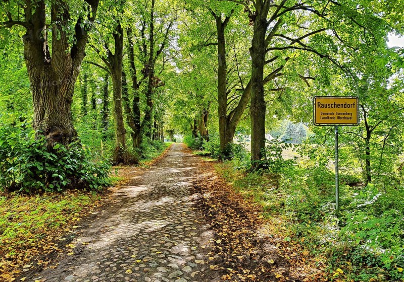 Kastanienallee with cobblestones, Rauschendorf district of the municipality of Sonnenberg, Oberhavel district, Brandenburg, Germany