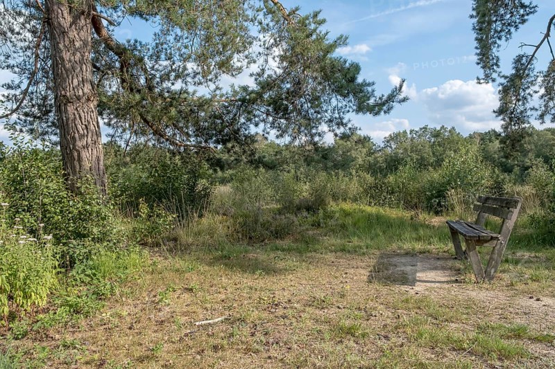 Haaksbergerveen Nature Reserve, Oberjissel Province, Haaksbergen, Netherlands
