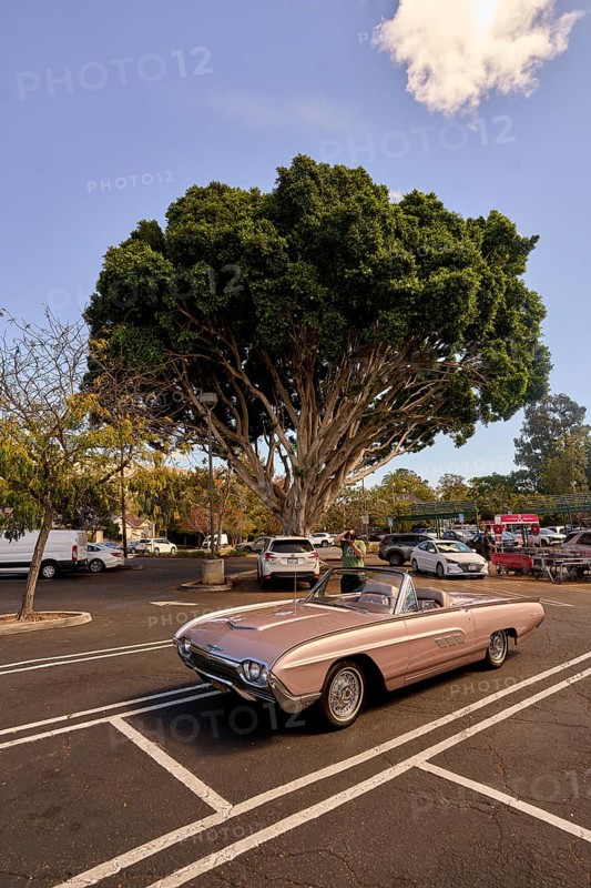 San Luis Obispo, a city in San Luis Obispo County in the U.S. state of California with 47, 063 inhabitants, Ford Thunderbird, San Luis Obispo, Kaliornien, USA
