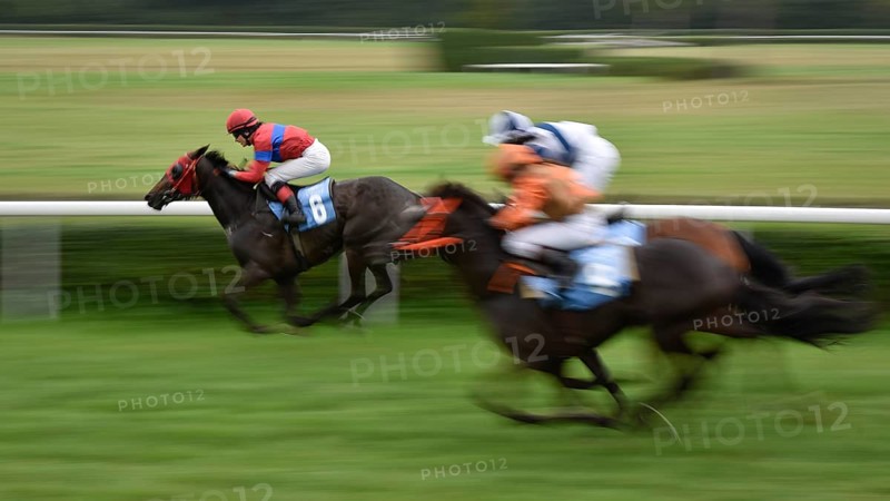 WROCLAW, POLAND - SEPTEMBER 4, 2016: Race for the 3-year and older horses Group IV Racecourse WTWK Partynice. Leads K. Maryniak on the horse Tutejsza (6)