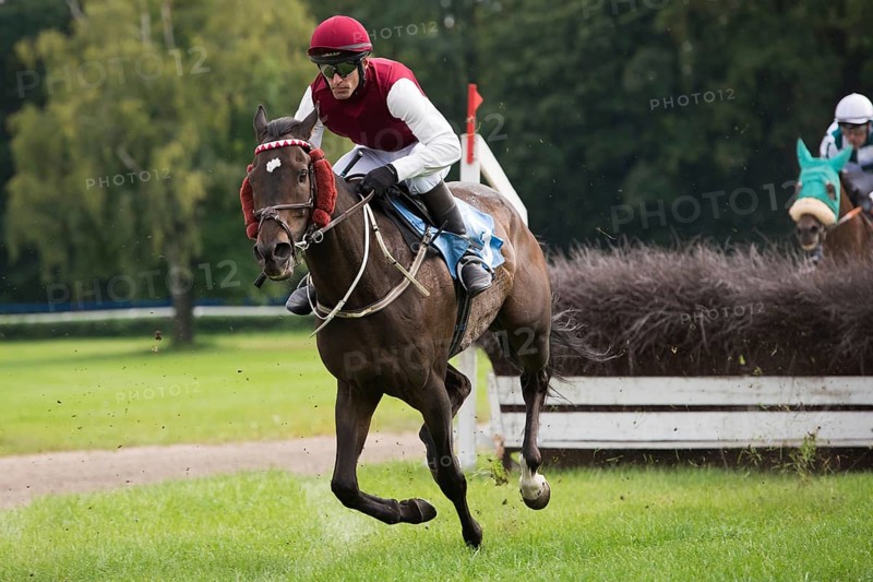 WROCLAW, POLAND - SEPTEMBER 4, 2016: Horse racing Grand Partynicka at Racecourse WTWK Partynice. In action winner N. Loven na koniu Calvados
