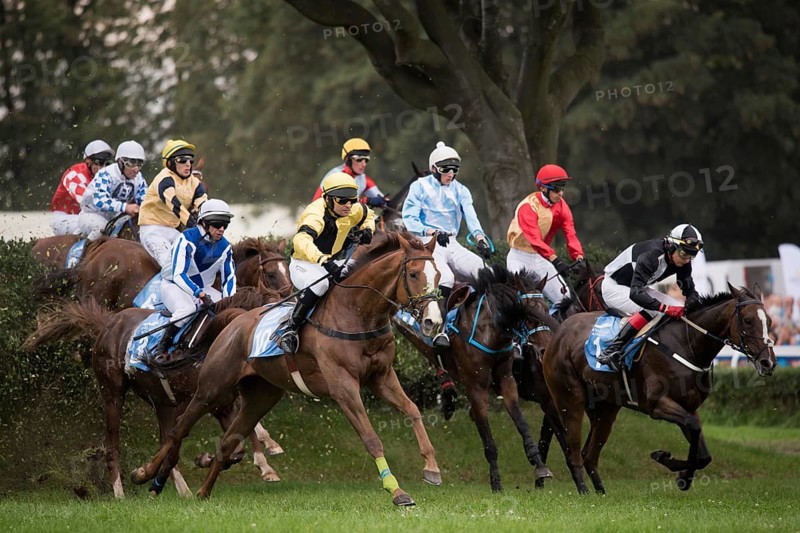 WROCLAW, POLAND - SEPTEMBER 4, 2016: Horse racing - Grand Wroclawska Prize Airport Wroclaw at Racecourse WTWK Partynice