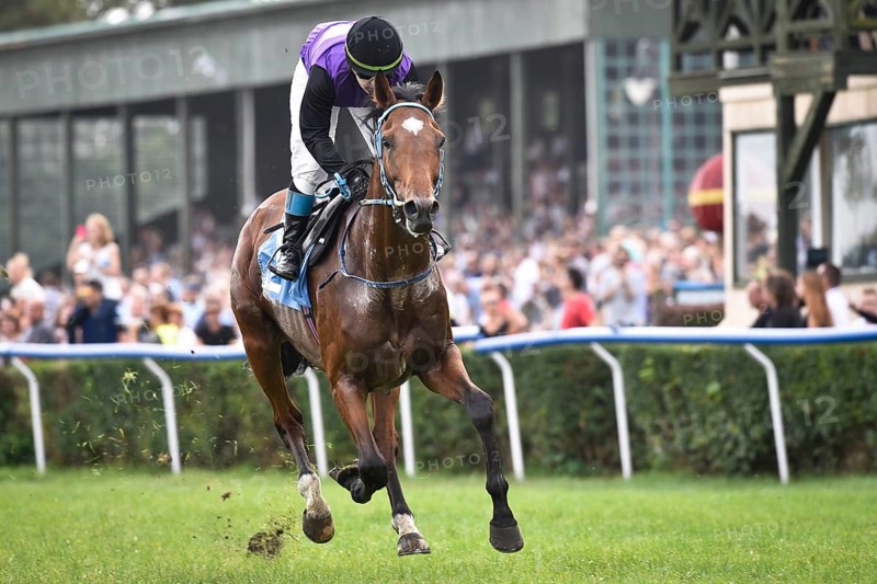 WROCLAW, POLAND - SEPTEMBER 4, 2016: Race for the 3-year and older horses Group IV Racecourse WTWK Partynice. Winner A. Kaleta on the horse Karim