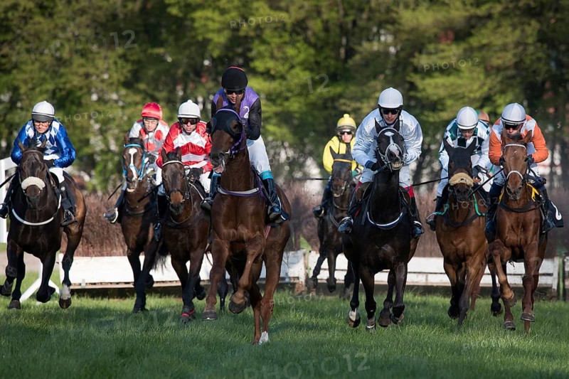 WROCLAW, POLAND - APRIL 24, 2016: Race with fences for 4-year old horses a Racecourse WTWK Partynice