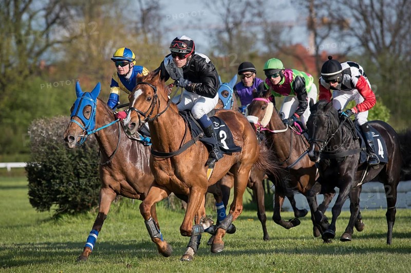 WROCLAW, POLAND - APRIL 24, 2016: International steeplechase for 5-year old and oldest horses at Racecourse WTWK Partynice