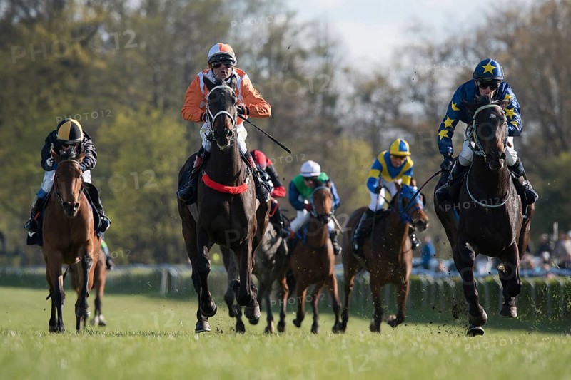 WROCLAW, POLAND - APRIL 24, 2016: International race for 3-year-old horses Group III at Racecourse WTWK Partynice