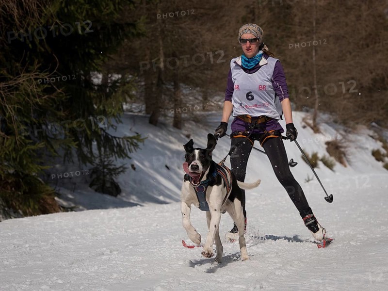 JAKUSZYCE, POLAND - MARCH 16, 2016: Jolanta Kalat during International Sled Dog Race Border Rush 2016