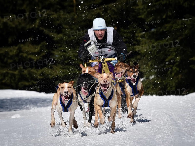 JAKUSZYCE, POLAND - MARCH 16, 2016: Ales Prokupek during International Sled Dog Race Border Rush 2016