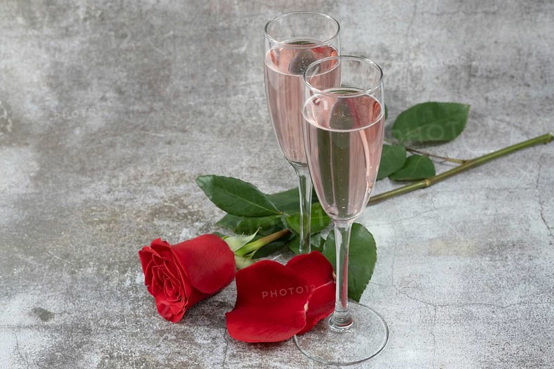 Two glasses of champagne and a red rose isolated on a gray table