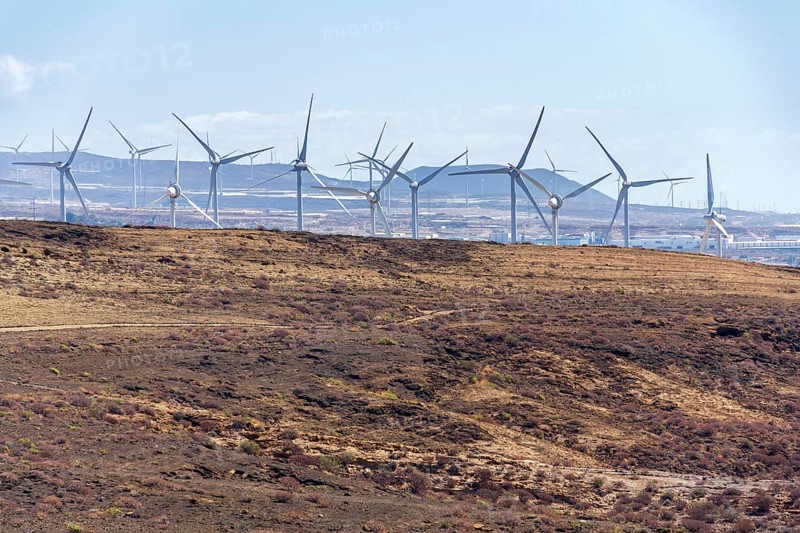 Onshore wind turbines at wind farm on sunny summer day, sustainable renewable electricity concept, Tenerife, Spain