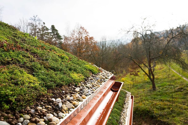 Wooden house with extensive green living roof covered with vegetation Liberec Czech republic