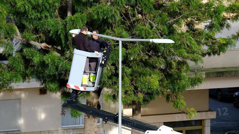 Two unrecognizable utility workers operate hydraulic lift to repair street light in residential area with lush greenery on clear sunny day. Elevated platform safely reaching lamp post, essential urban maintenance, checks and public safety work, Lisbon, Portugal