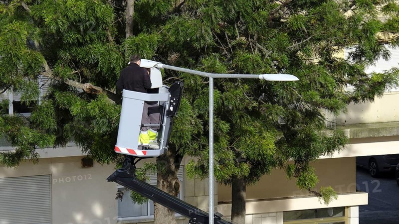 Two unrecognizable electricians operate hydraulic lift to repair street light in residential area with lush greenery on clear sunny day. Elevated platform, public infrastructure, lamp post, essential urban maintenance, checks and public safety work, Lisbon, Portugal