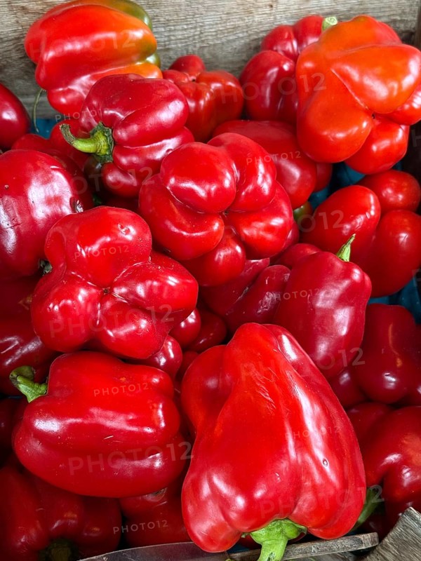 Dell Peppers at a farmers market, in Saint Albans, Vermont, New England, USA