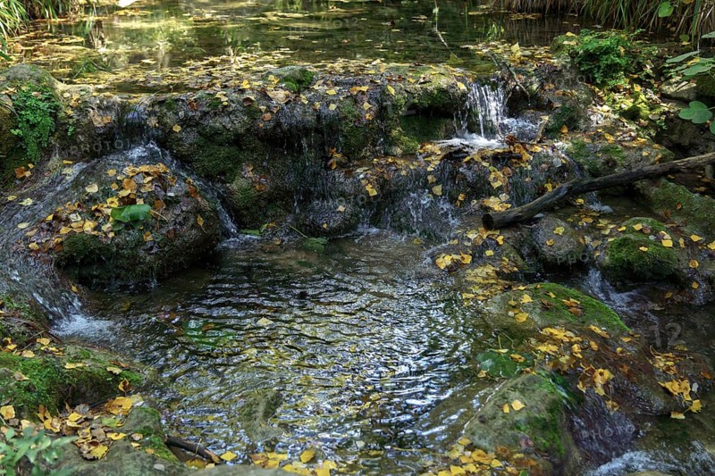 Ronda, malaga, spain Small stream in an autumn forest, water flowing over moss-covered rocks and fallen yellow leaves, creating a peaceful, serene scene