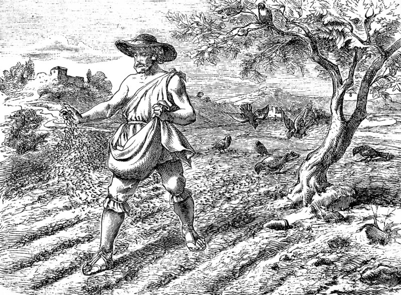 The sower in the field, Gospel of Matthew, chapter 13, farmer, sowing, landscape, agriculture, birds picking seeds, tree, building, New Testament, Bible, historical illustration 1877