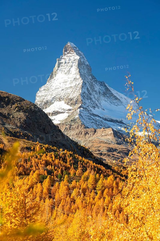 Matterhorn Mountain and Yellow Golden Trees in Autumn on Sunny Day. Fall Colors. Swiss Alps. Valais, Switzerland